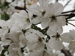 -首都医科大学宣武医院