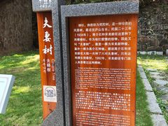 -白鹿洞书院