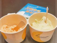 -LUNEURS月乐诗·法式冰淇淋(北外滩来福士广场店)