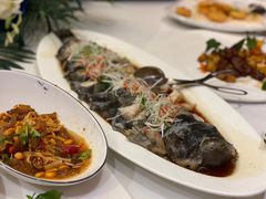 -南湖春色海鲜食府(中兴街店)