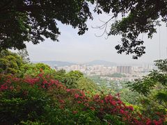 -广州市白云山风景名胜区