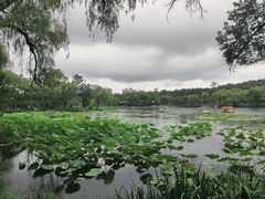 -承德避暑山庄景区