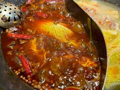 -阳阳老火锅(小南门店)