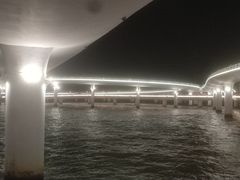 -演武大桥观景平台