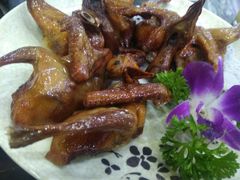 -鸽鸟轩(石岐店)