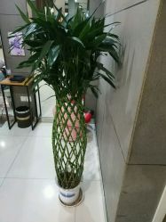 -米兰品时尚造型