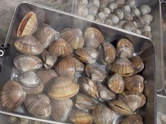 -KAOKAO烤烤·丹东海鲜烧烤(望京店)