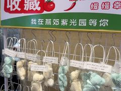 -紫光园(燕郊总店)