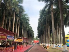 -南宁花花大世界景区