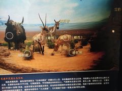 -浙江自然博物院(杭州馆)