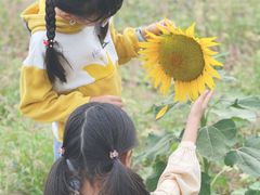 -汉长安城未央宫国家考古遗址公园