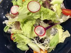 田园蔬菜色拉-望乡楼上海菜(日月光店)