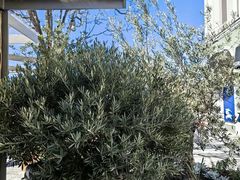 -马德里拉斯咯扎斯购物村