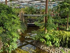 -南宫五洲植物乐园