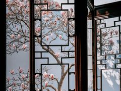 -耦园