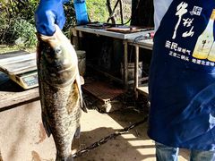 -姥家大锅台水库渔家