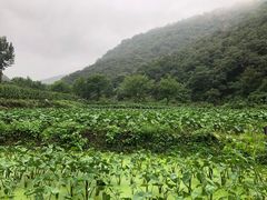 -嵖岈山风景区