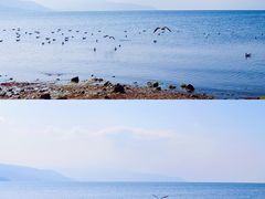 -月亮湾湿地公园