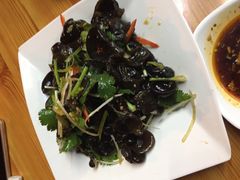 凉拌木耳-内蒙古牛羊肉特色美食(后海滨路店)