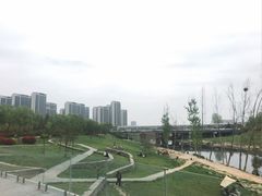 -洨河生态公园