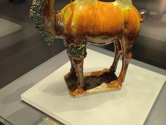 -贵州省博物馆(新馆)