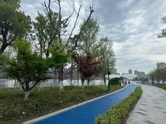 -金沙湖公园