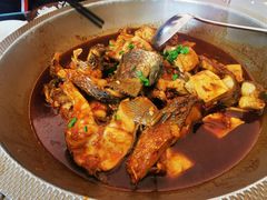 -一撮毛美食城(全力一路店)