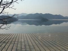 -望湖烤鱼