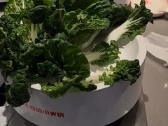 -龍歌自助小火锅(雨花台江南虹悦城店)