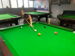 -名仕台球(新唐万科店)