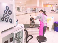 -多卡布奇宠物生活馆(上林世家店)