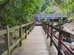 -广州白江湖森林公园