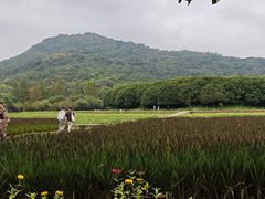 -八卦田遗址公园