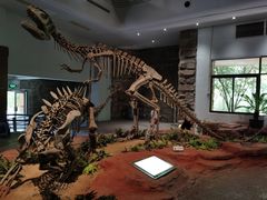 -自贡恐龙博物馆