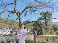 -塔川景区