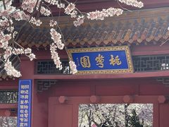 -桃花堤公园