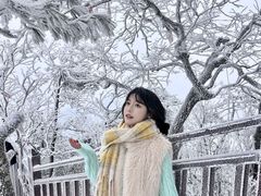 -洛阳白云山景区