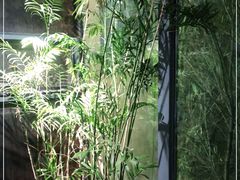 -聚缘堂·海鲜私房菜(松岭路店)