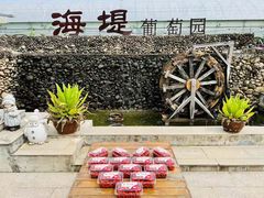 -海堤葡萄园中小学生研学基地