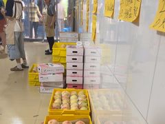 -老袁家蜜桃农场·阳山水蜜桃