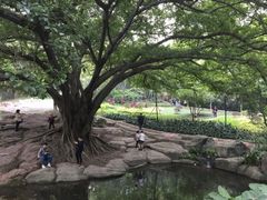 -晓港公园