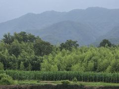 -绩溪龙川景区