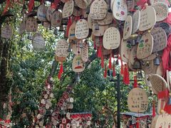 -绍兴镜湖国家城市湿地公园
