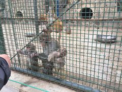 -南京金牛湖风景区