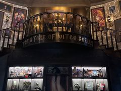 -雪灵魔法世界SHELLY’S TAROT(大良桂畔里店)