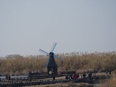 -宁波杭州湾国家湿地公园