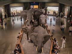 -美国自然历史博物馆