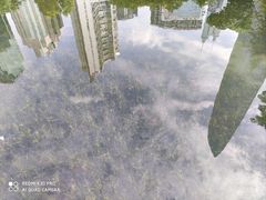 -荔枝公园(福田区)