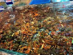 -印象天台·非遗文化美食