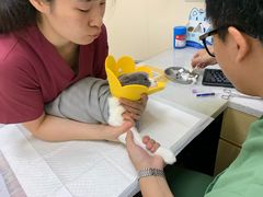 -芭比堂动物医院·24小时·眼科中心(深圳中心)